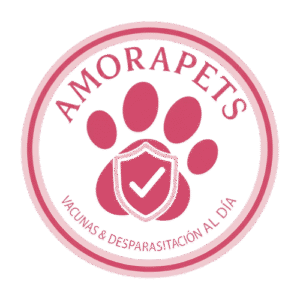 pomerania colombia criadero