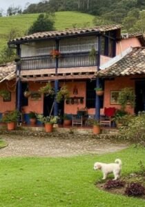 Criadero de perros en Medellín AmoraPets ambiente campestre.