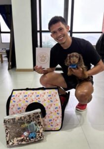 Cachorro Teckel (perro salchicha) macho de raza pura disponible en Colombia