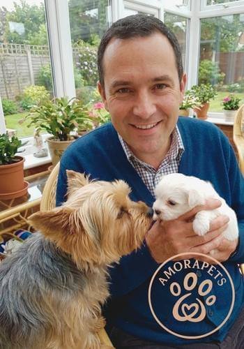 Familia en Rionegro recibiendo un cachorro Bichón Maltés para acompañar a su perro Yorkie. Convivencia entre razas pequeñas de AmoraPets.