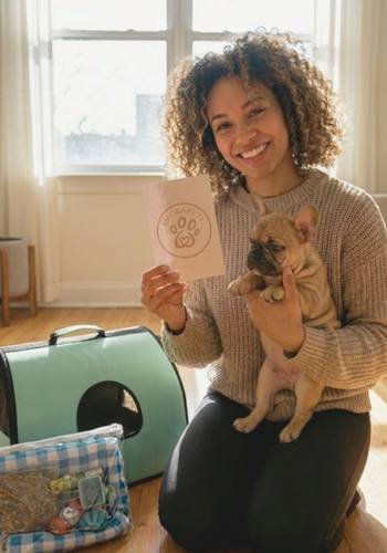 Cachorro Bulldog Francés de estructura compacta siendo entregado a su nueva familia en un sector residencial de Bucaramanga.