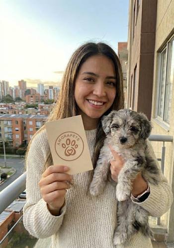 Chica joven cargando un cachorro Maltipoo de color exótico merle (manchado) con ojos claros durante una entrega de AmoraPets.