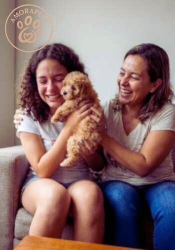 Mamá e hija sonriendo mientras reciben un cachorro Maltipoo color crema en una entrega presencial en Medellín.
