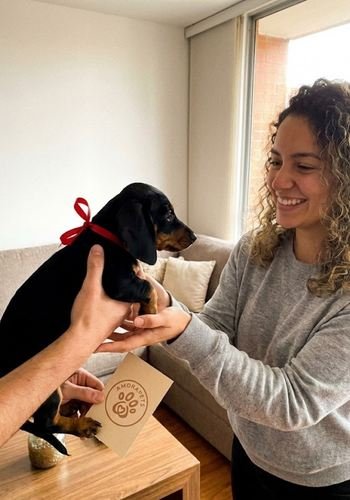 Chica joven sosteniendo con ternura a un cachorro Salchicha color negro y fuego (Black and Tan) recién entregado por AmoraPets.