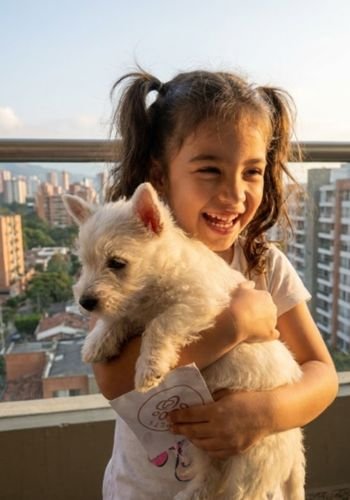 Niña feliz recibiendo un cachorro Westy (West Highland White Terrier) en Medellín. Entrega de mascotas para niños por Amora Pets.