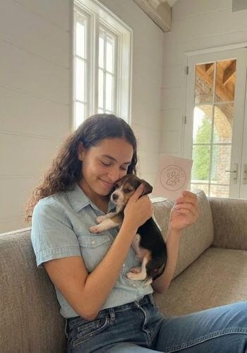 Cachorro Beagle tradicional tricolor entregado en La Ceja, Oriente Antioqueño. Mascota para familia y niños de AmoraPets.