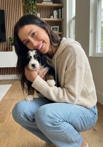 Entrega de cachorro Bernedoodle tricolor en Medellín, Antioquia. Perro de diseño hipoalergénico y familiar de AmoraPets.