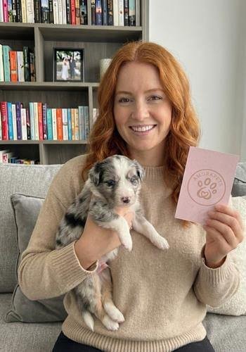 Cachorro Border Collie Blue Merle entregado en Santa Fe de Antioquia. Perro de inteligencia superior con ojos claros y pelaje exótico de AmoraPets.