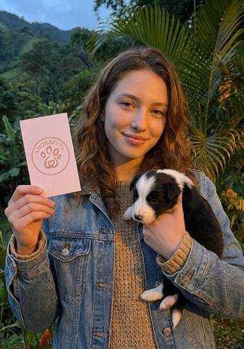 Cachorro Border Collie blanco y negro entregado en Envigado, Antioquia. El perro más inteligente del mundo de AmoraPets.