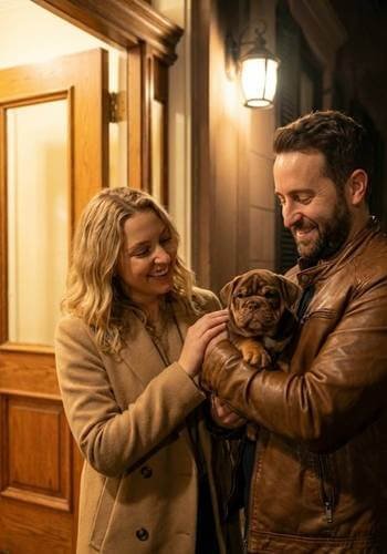 Pareja en Llanogrande, Rionegro, recibiendo un cachorro Bulldog Inglés color chocolate exótico. Mascota de lujo de AmoraPets.