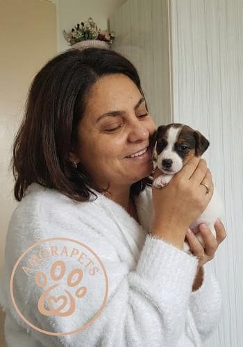 Entrega exitosa de un cachorro de raza pura en la ciudad de Manizales, Caldas. Cliente feliz con su nueva mascota de AmoraPets.