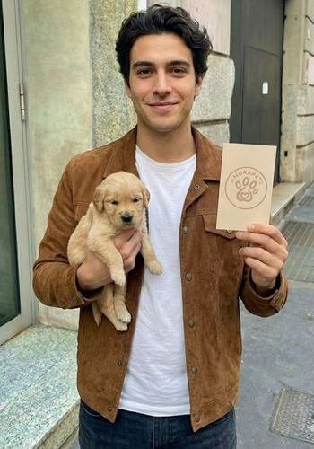 Cachorro Golden Retriever entregado en Cali, Valle del Cauca. Perro de familia con excelente genética y salud de AmoraPets.