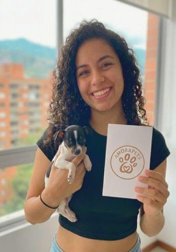 Entrega de un cachorro Pinscher miniatura tipo vaquita (manchado blanco y negro). Cliente feliz recibiendo su mascota de Amora Pets.