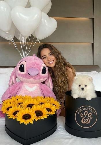 Cachorro Pomerania blanco puro entregado como regalo en Pereira, Risaralda. Entrega de mascotas de lujo por AmoraPets en el Eje Cafetero.