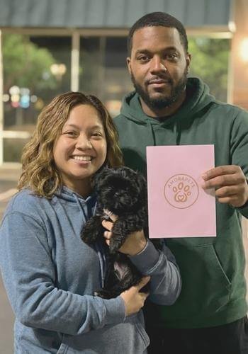 Pareja joven recibiendo un cachorro Shih Tzu negro sólido en Bogotá. Entrega de mascota exclusiva por AmoraPets.