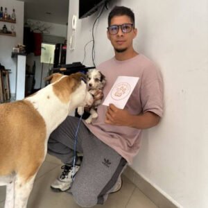 Cachorro Border Collie de raza pura entregado en Medellín por AmoraPets