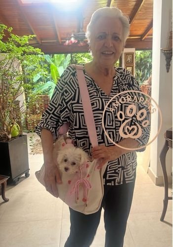 Señora mayor muy feliz sosteniendo a su nueva perrita Maltipoo en un bolso de transporte durante una entrega de AmoraPets.
