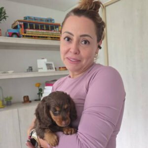 Cachorro Teckel salchicha chocolate pelo largo de raza pura entregado en Medellín por AmoraPets