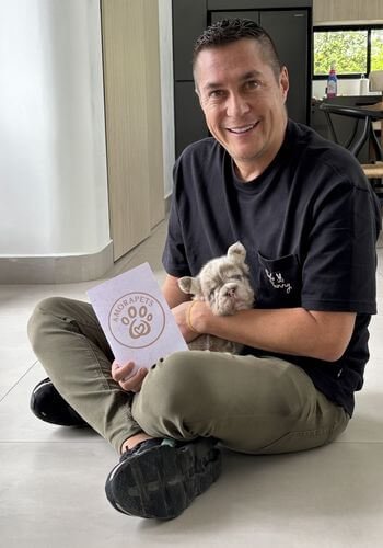 Bulldog francés Cachorro Bulldog Francés Fluffy Merle Big Rope Isabella entregado en Armenia Quindío por AmoraPets — ejemplar exótico valuado en $9.000.000 COP