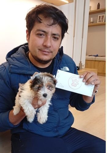 Entrega de Yorkshire Biewer en Villavicencio — AmoraPets