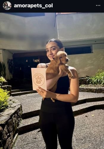 Golden Retriever de raza pura entregado en Barranquilla Atlántico por AmoraPets