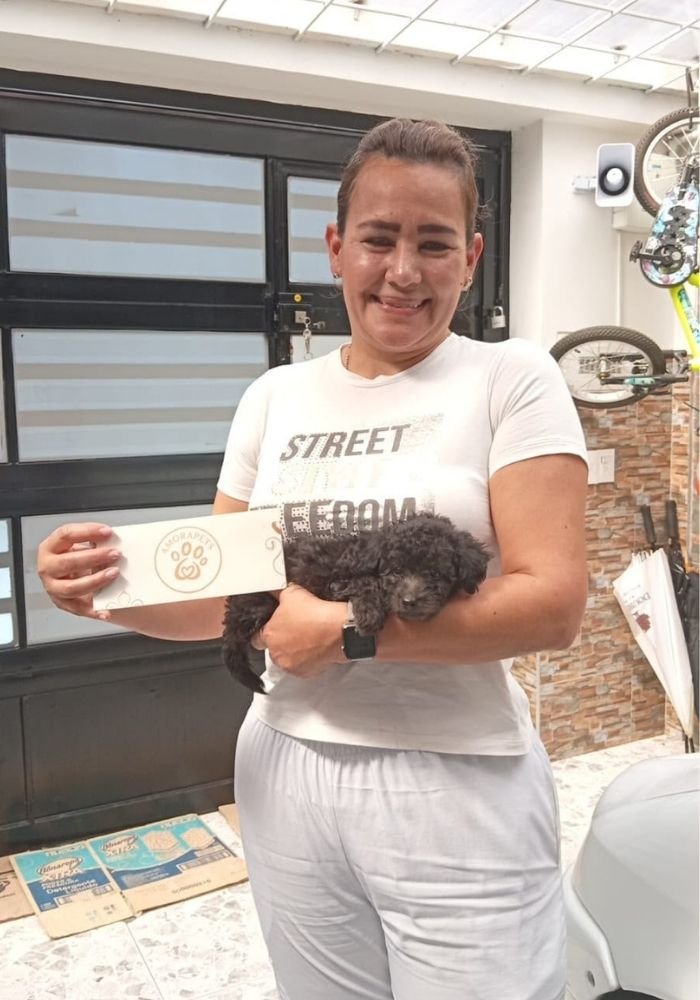 Familia feliz recibiendo su cachorro Caniche de AmoraPets en Colombia