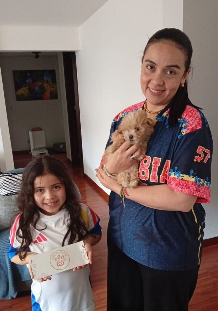 Familia feliz recibiendo su cachorro Maltipoo de AmoraPets en Colombia
