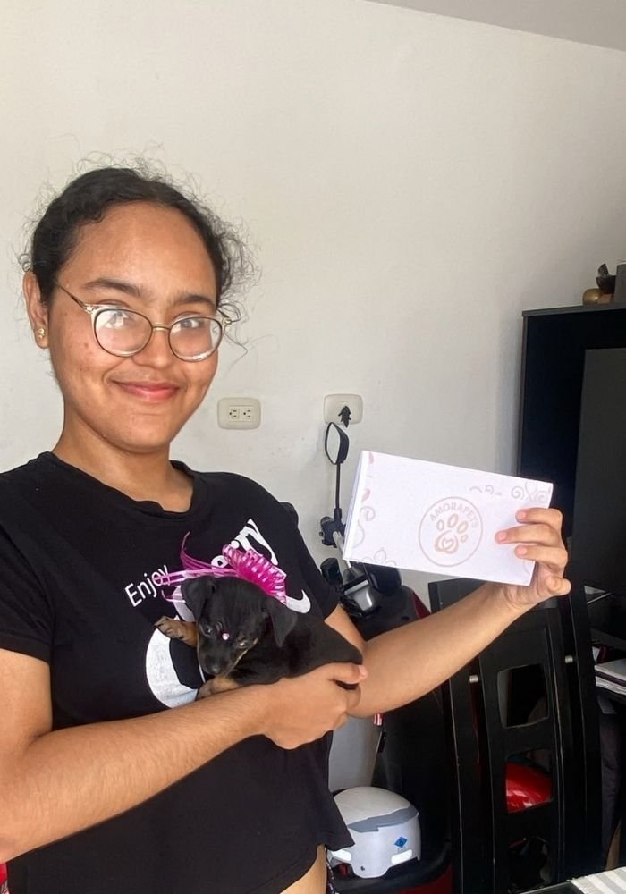 Familia feliz recibiendo su cachorro Pincher de AmoraPets en Colombia