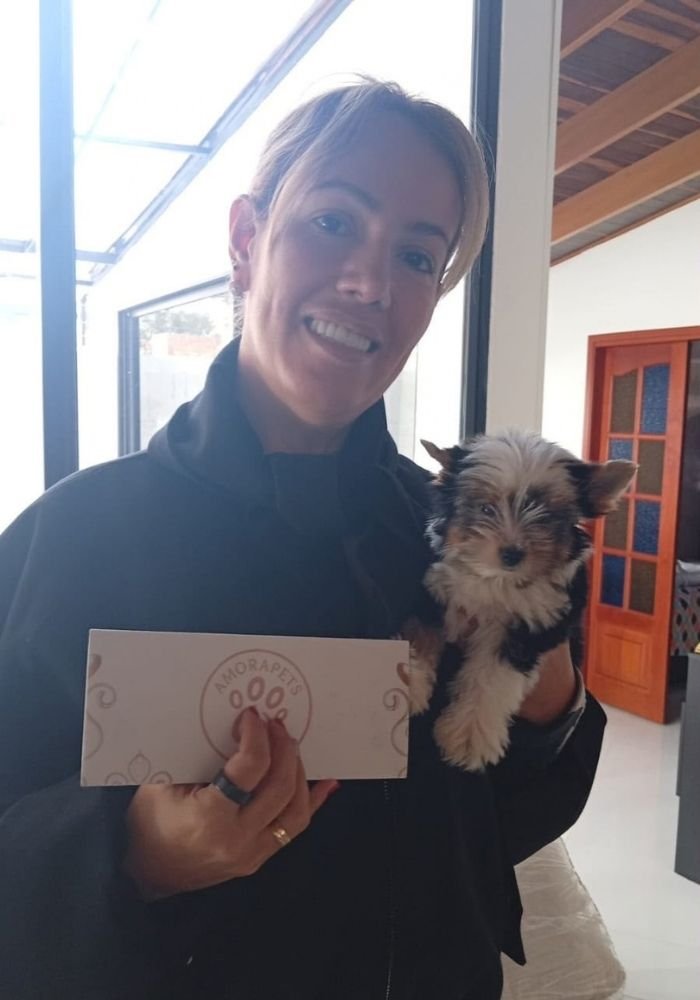 Familia feliz recibiendo su cachorro Yorkshire Biewer tricolor en Bogotá por AmoraPets Colombia