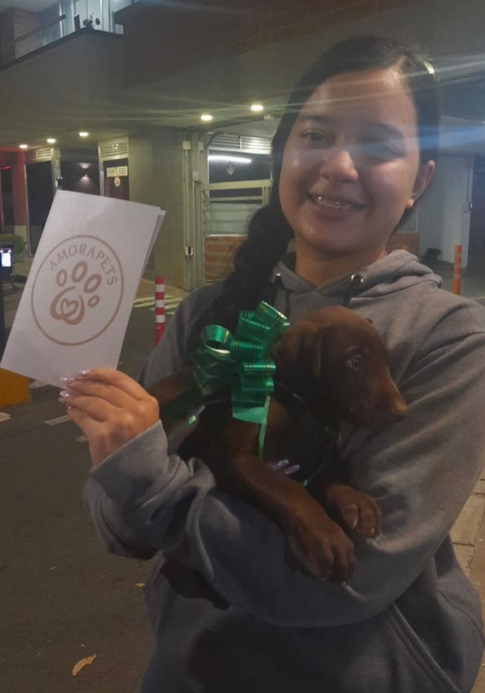 Familia feliz recibiendo su cachorro Doberman de AmoraPets en Colombia