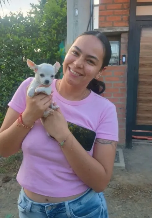 Cachorros para Navidad Familia feliz recibiendo su cachorro Chihuahua blanca de AmoraPets en Colombia